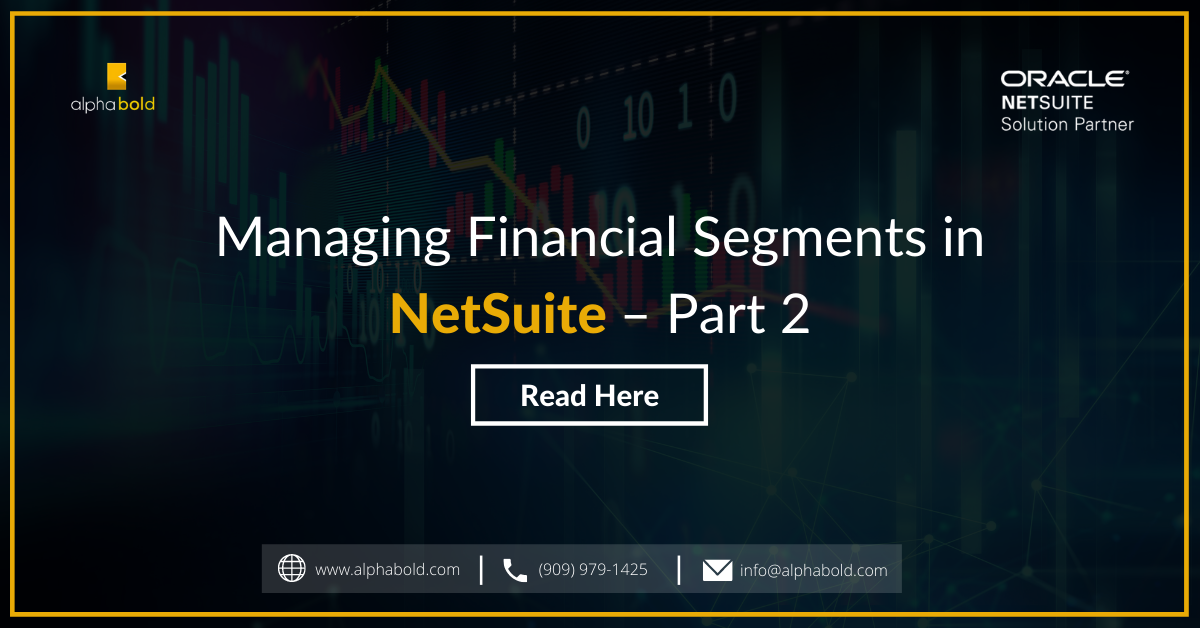 Managing Financial Segments in NetSuite – Part 2