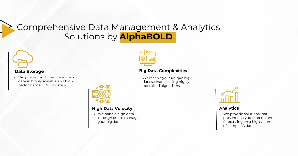 Infographics show Comprehensive Data Management and Analytics Solutions by AlphaBOLD