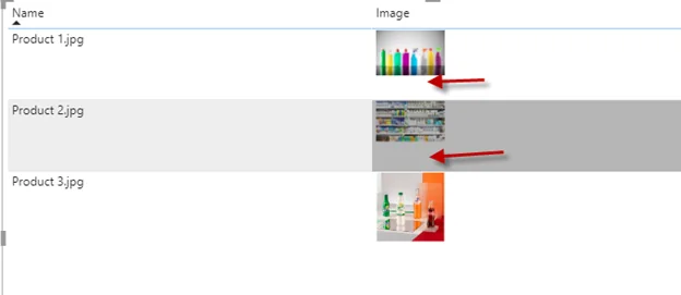Infographic that show how to put “Image” column in the grid with the image name 