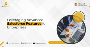 Infographics show the Leveraging of Advanced Salesforce Features for Enterprises