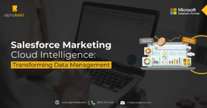 Infographics show the Salesforce Marketing Cloud Intelligence: Transforming Data Management