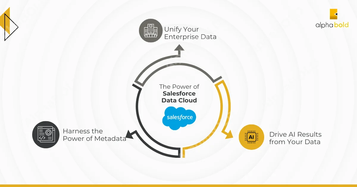 Infographics show the Power of Salesforce Data Cloud