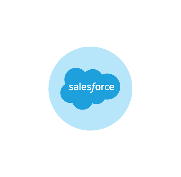 this image show SALESFORCE CONSULTING SERVICES