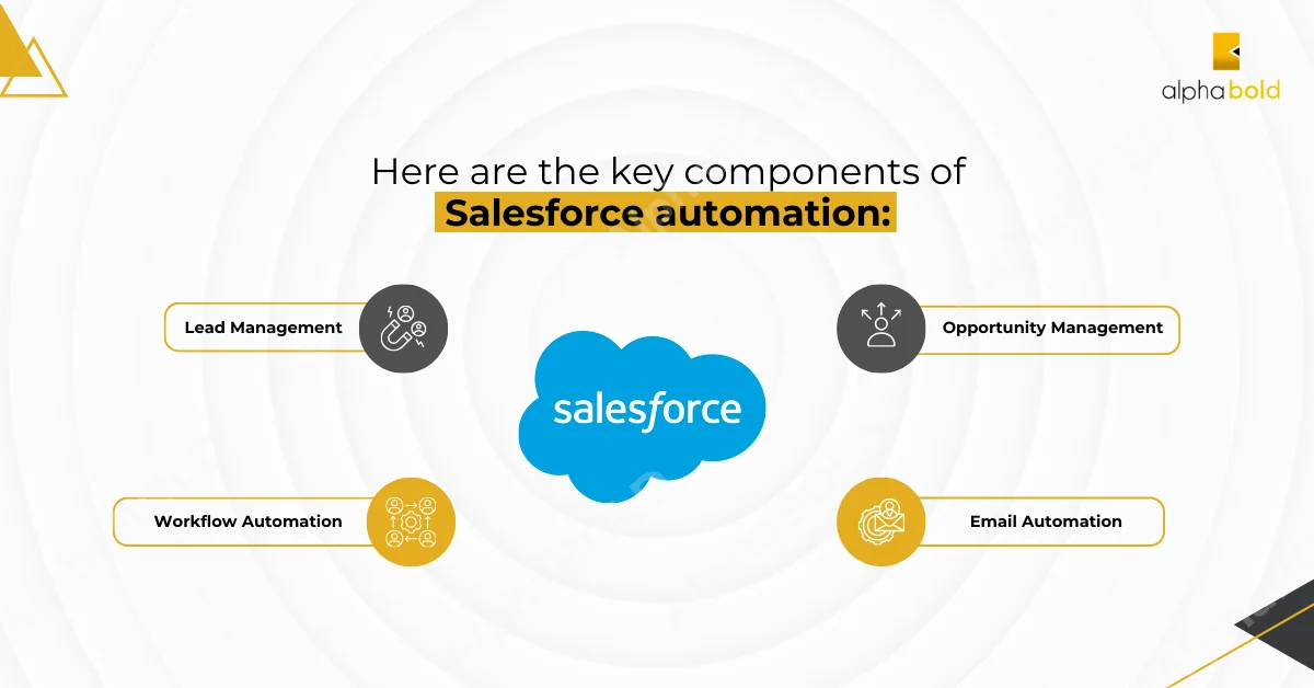 Infographic show the key components of Salesforce automation