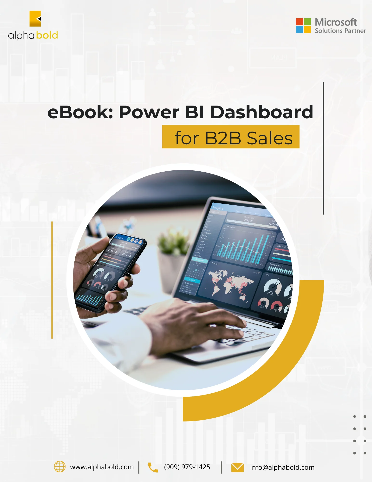 Infographics show the E-book leveraging the Power BI Dashboards for B2B Sales