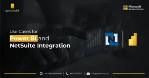 This image shows Use Cases for Power BI NetSuite Integration