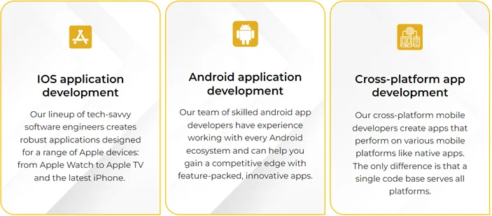 Infographics show the AlphaBOLD’s Custom Mobile App Development Services