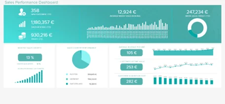 Infographics show Datapine is a business intelligence software