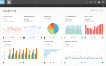 Infographics show Domo is an entirely cloud-based business intelligence platform