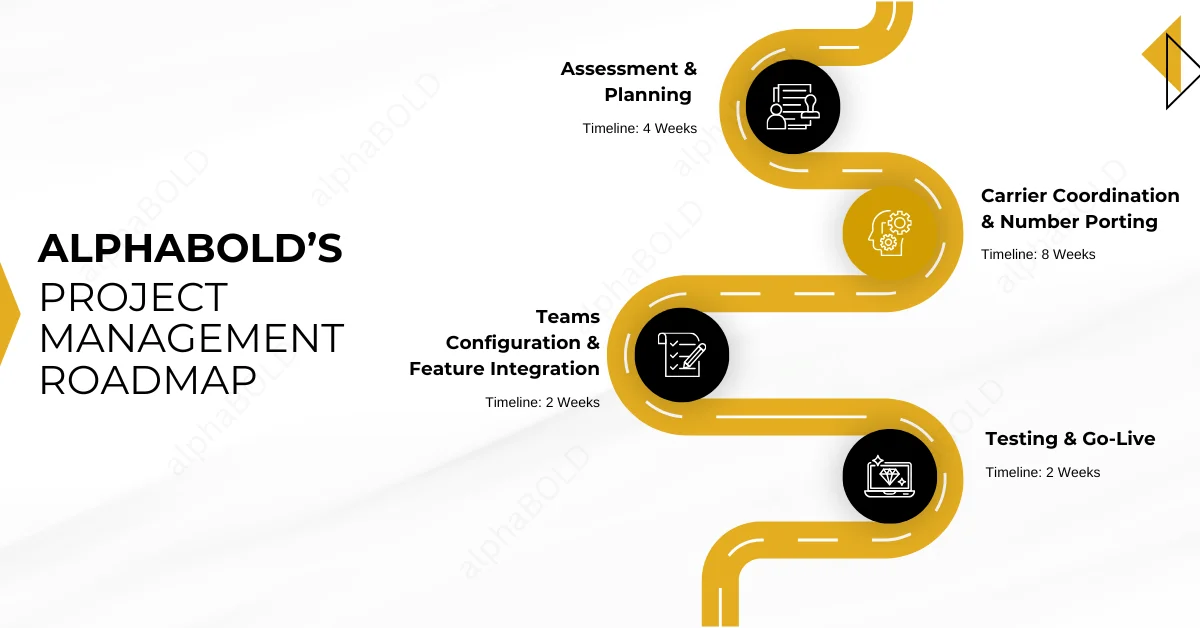 Infographic show the AlphaBOLD’s Project Management Roadmap