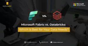 Infographic shows Microsoft Fabric vs. Databricks: Which is Best for Your Data Needs?